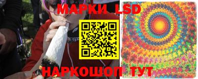 ешки Камышлов