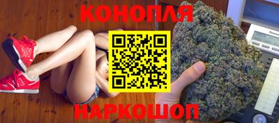 ешки Камышлов