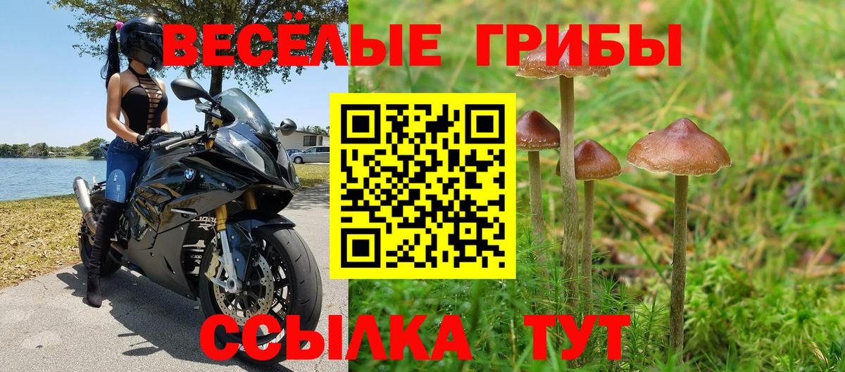 Магнитогорск  Псилоцибиновые грибы Magic Shrooms  Вход с VPN 