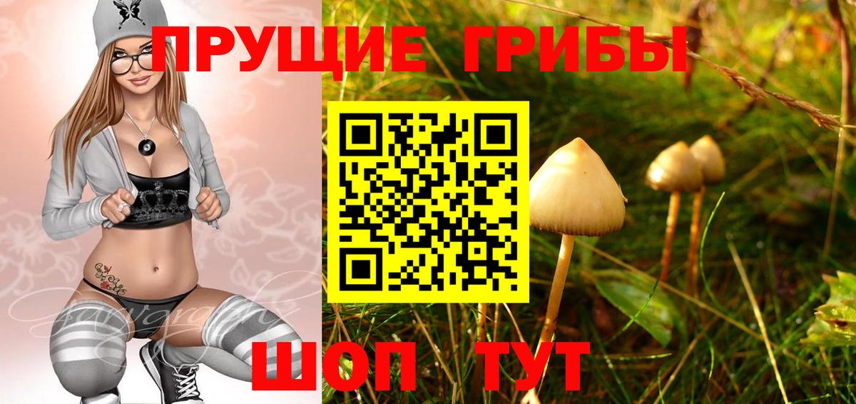 ТГК  Магнитогорск  Каннабис  LSD-25  Меф кристаллы  Вход с VPN  ГАШИШ 